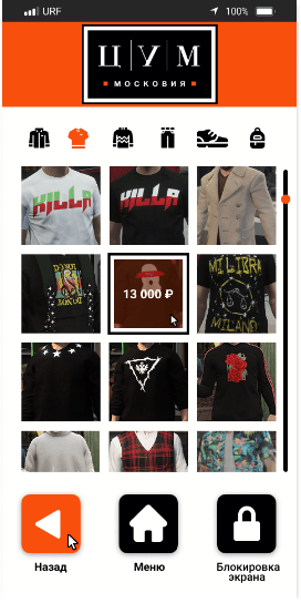 Пример экрана в телефоне