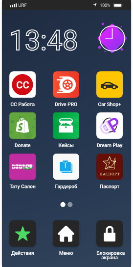 Пример экрана в телефоне